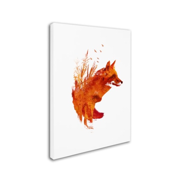 Robert Farkas 'Plattensee Fox' Canvas Art,14x19